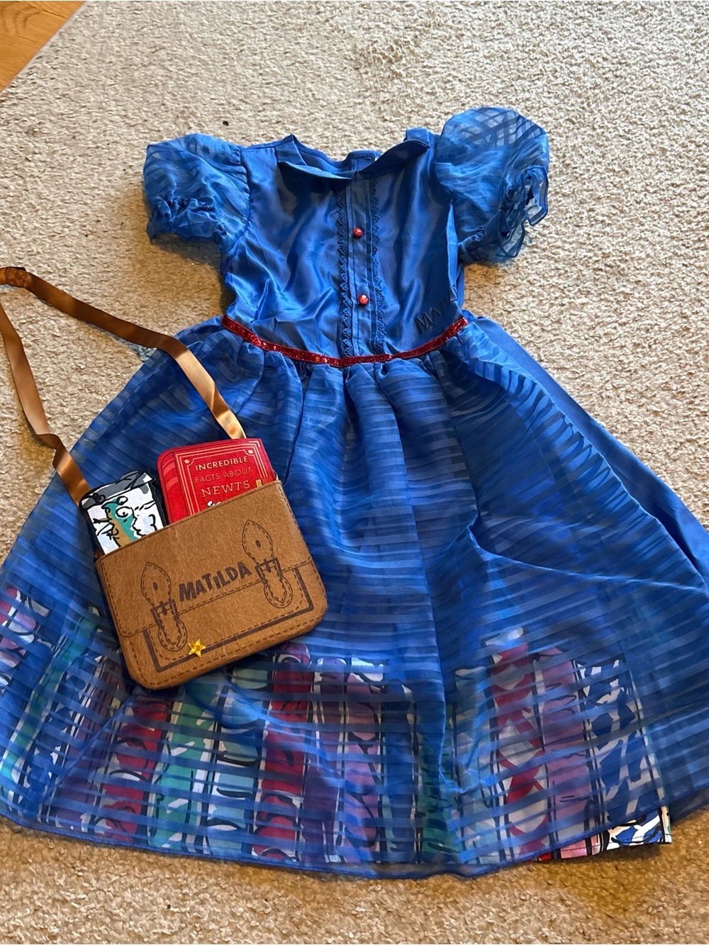 Matilda Roald Dahl Dress Size 9 10 Costume With Book Purse Bag Halloween Blue